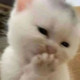 MitsuriChan
