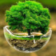 WarmingBasket0