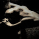 Poledance-Athlet28