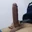 Delhiguy24