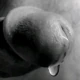 rokikhan01