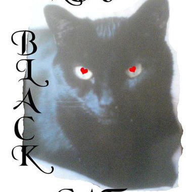 LOVEBLACKCAT2