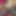Realsexhub