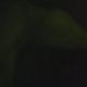 mrnod