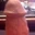 Slutfucker169