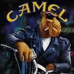 camel220