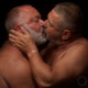 lovebeargay