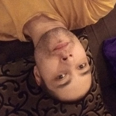 Pettarek
