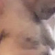 joesuxcock