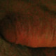 Shawn78520