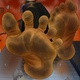 ToastedChatter78