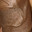 Rockyxxx31