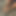 vinceviolet35