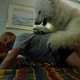 MauledByBears
