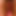 HAIRYBUSHLOVER1