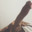 Medou16dz-