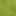 HollowLadybird9