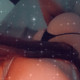 Maltijaisexy