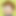 LawyerMorty