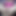 AmateurCoupleHD