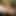 bobbisissysub