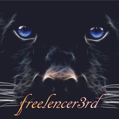 freelencer3rd