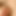PervGuyNord