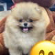 BentBunk