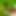 arafatmufti