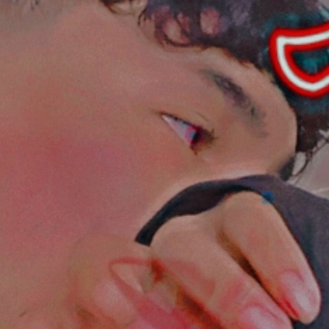 __Falcon_8x