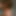 almo54
