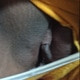 GrittyFriend713