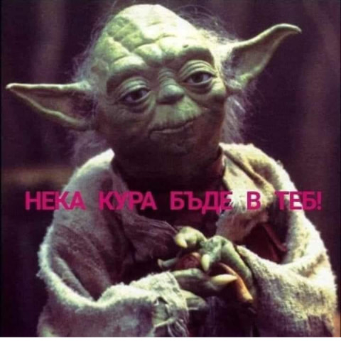 dimitar_mitev85