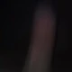 Fofo3679