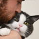 PUSKAKITTY