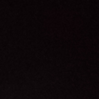 Sangeeta5540