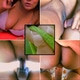 honestservice24