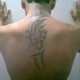 DesiBullBD