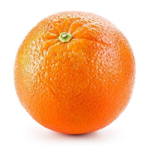 orangebluejay