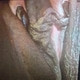 Sexylips40
