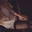 Secret_Sissy95