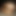 Beepied_