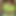 NeowifeTati
