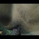 Golden-Media