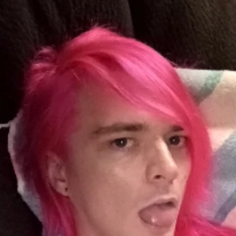 VioleToilet