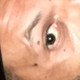 HornyXDog