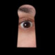 spyone1