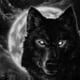 jaxwolf