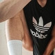 devocion33