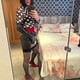Rik212